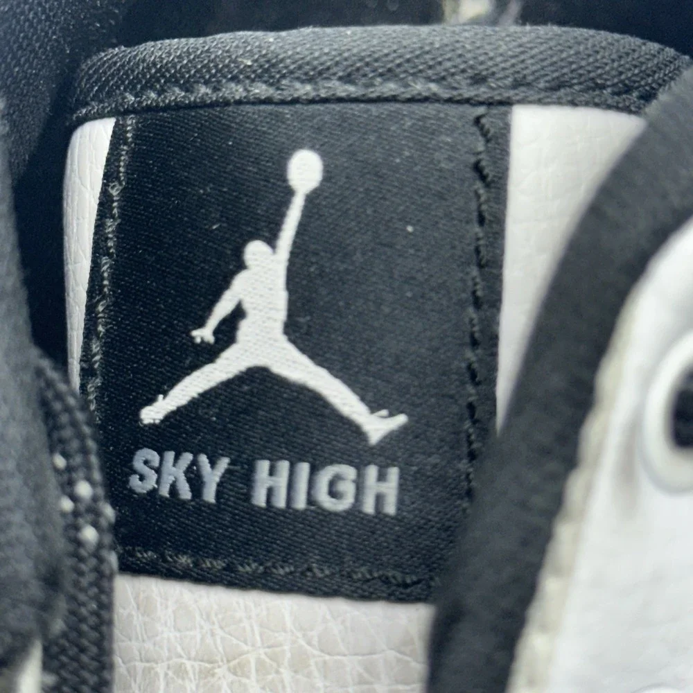 Nike jordan 103 sky